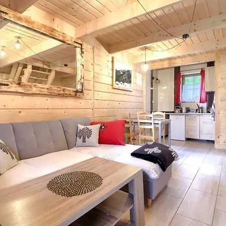 Oaza Tatry Iii ザコパネ