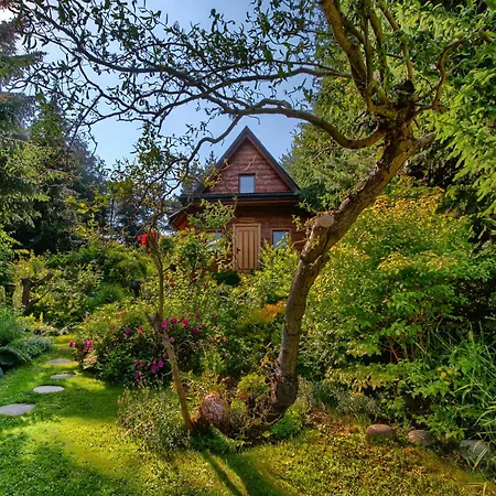 Oaza Tatry Iii Zakopane